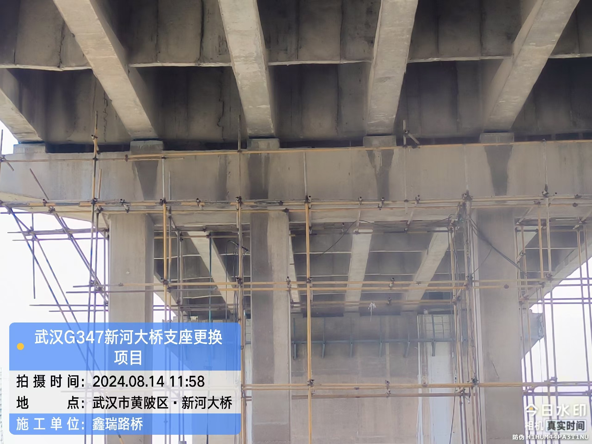 微信图片_20230815100215.jpg